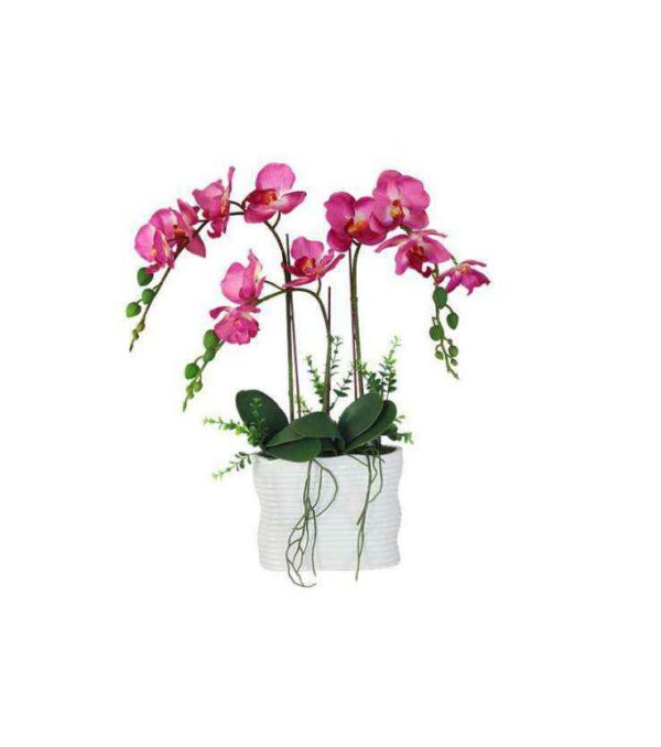 Декоративные цветы Дрим Гарден Орхидея тем розовая в керамической вазе