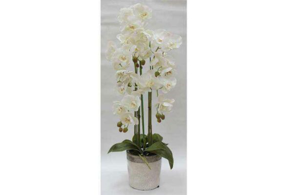 Декорцветы Дрим Гарден Орхидеи белые в керамической вазе