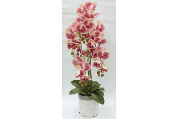 Декорцветы Дрим Гарден Орхидеи тёмрозовые в керамической вазе
