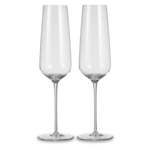 Набор бокалов для шампанского Nude Glass Невидимая ножка 300 мл Посуда Vip